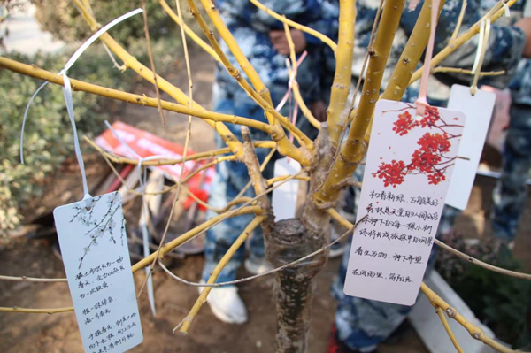 植樹(shù)節(jié)|管理學(xué)院|手植一抹綠，心栽一片林